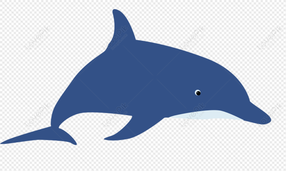 Cartoon Dolphin Images, HD Pictures For Free Vectors Download 