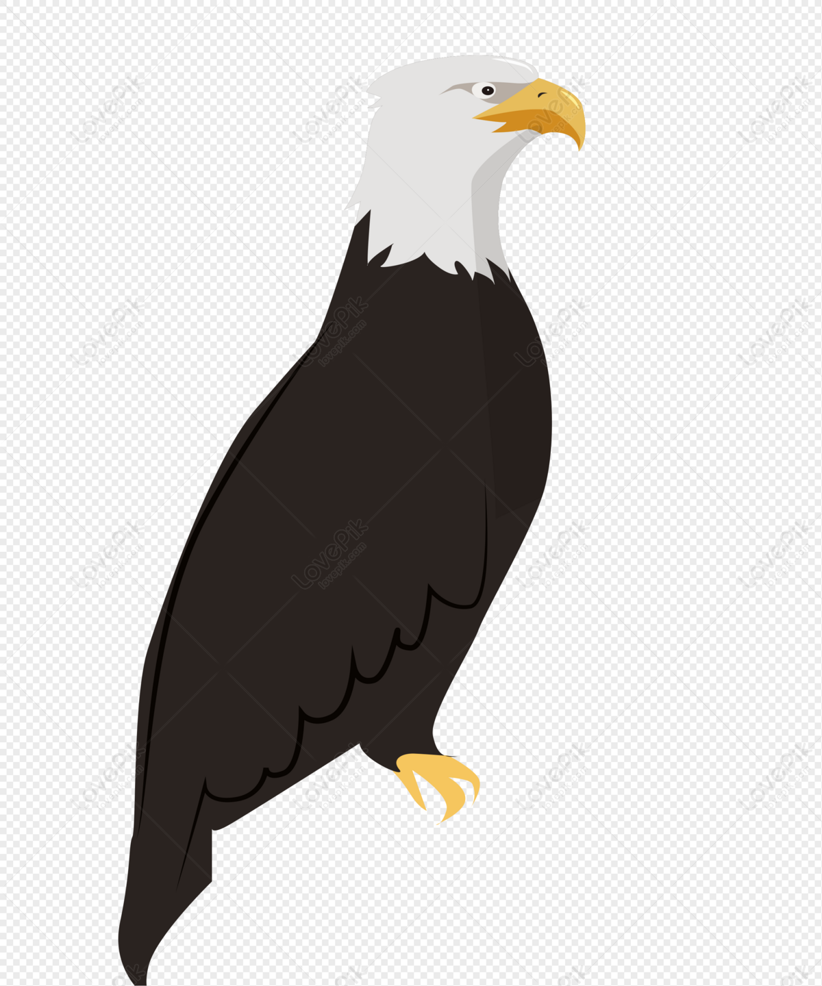 Eagle Logo png images | PNGWing