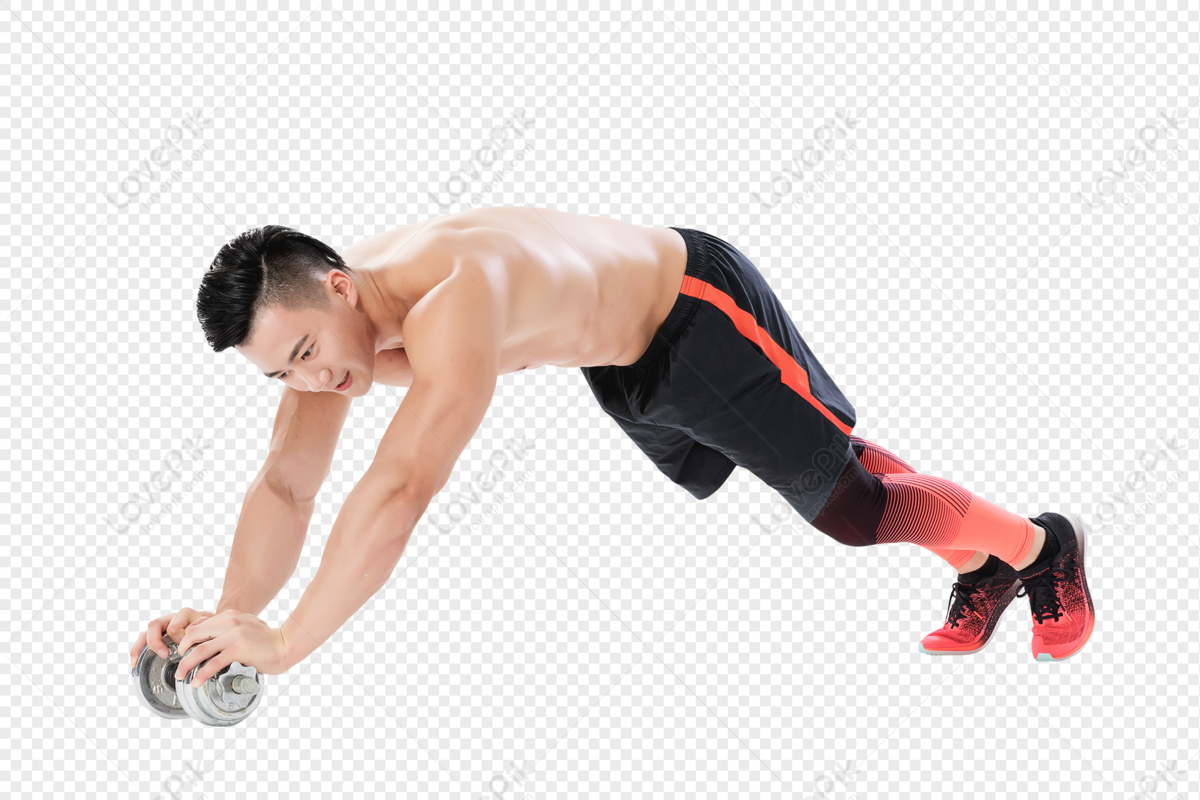 Abdominal Muscles PNG Transparent Images Free Download