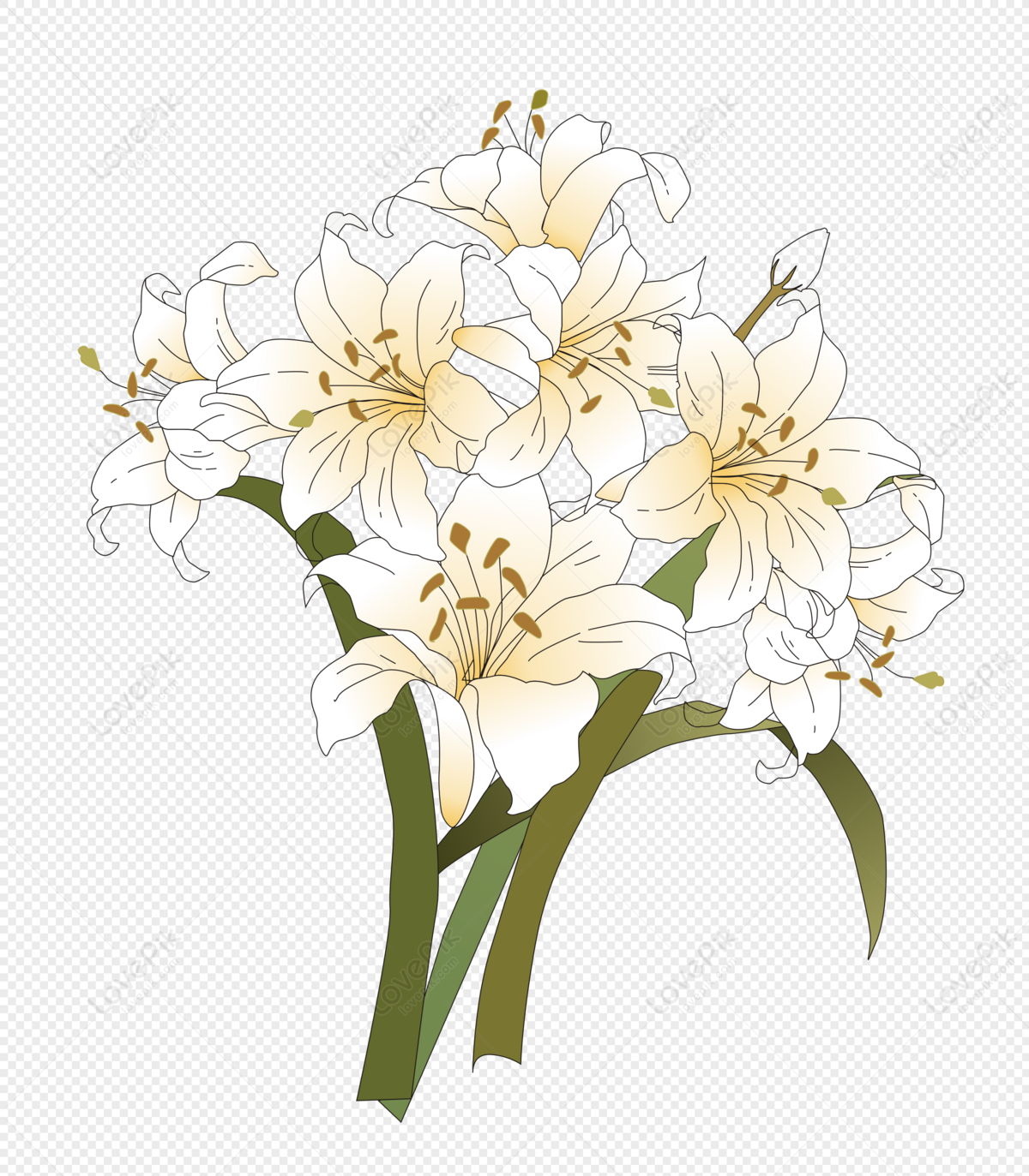 Photo de Jonquille Printemps Botanique, jonquille, plante, fleur Graphique  images free download - Lovepik | 400945563