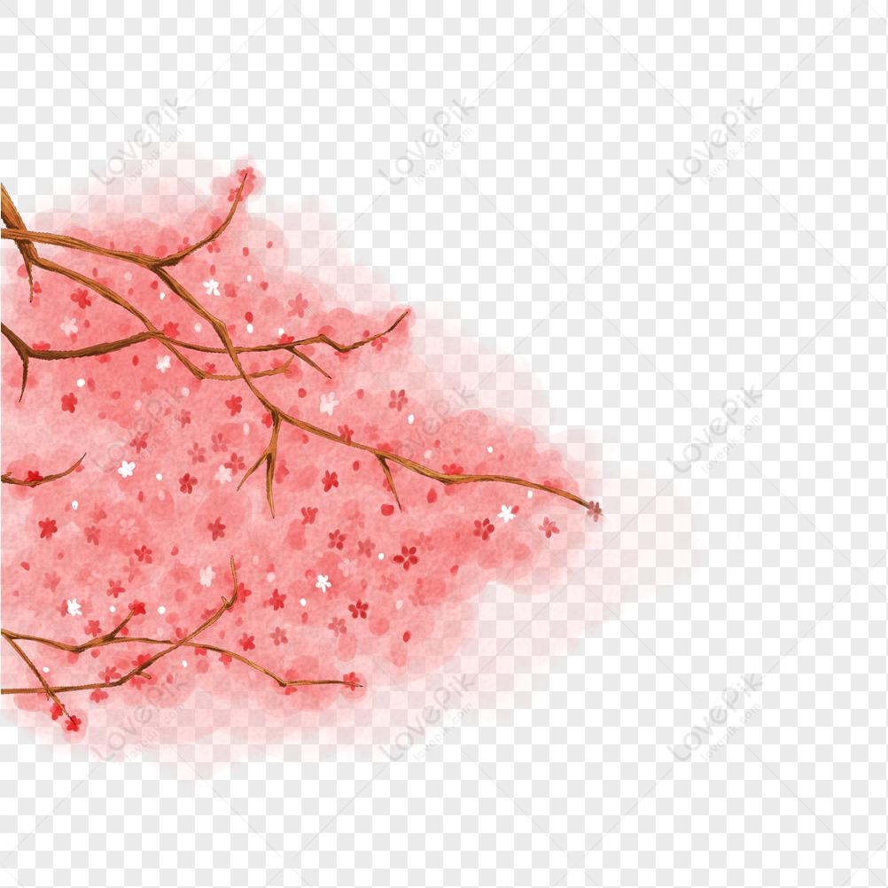 Cherry Blossom Branch PNG Image And Clipart Image For Free Download ...