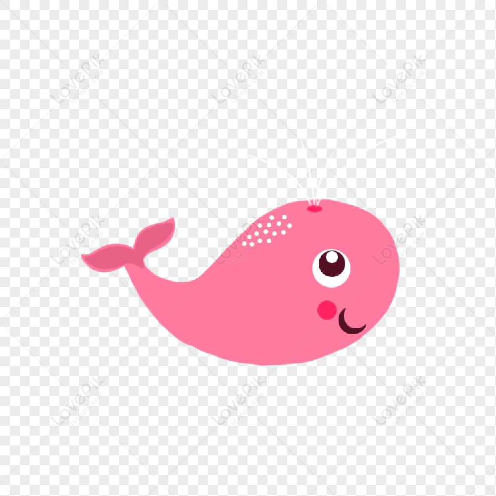 Pink Whale PNG Images With Transparent Background | Free Download On Lovepik