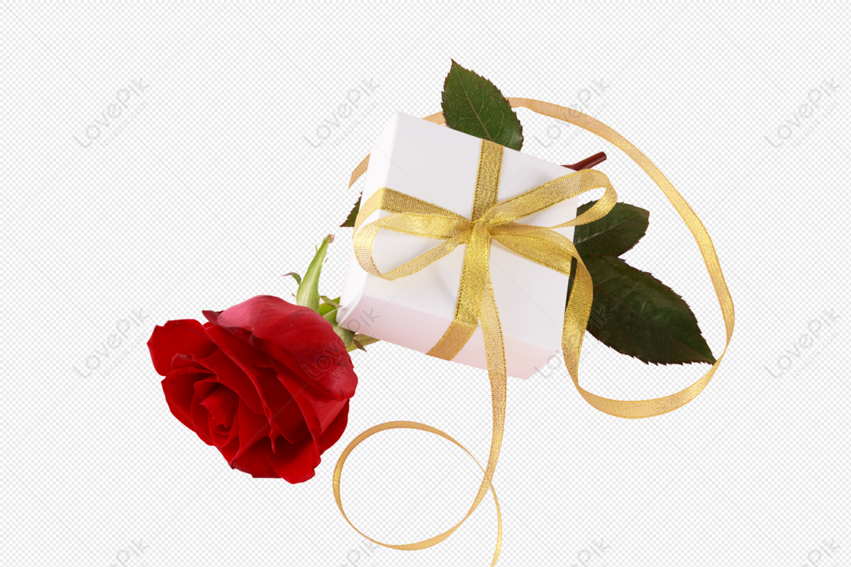 Với những người yêu hoa hồng, bức ảnh hoa hồng này chắc chắn sẽ làm bạn vô cùng vui mừng. Với sắc hồng đầy mê hoặc, những bông hoa hồng thật sự rực rỡ và quyến rũ. Hãy ngắm nhìn và cảm nhận vẻ đẹp của những cánh hoa này.