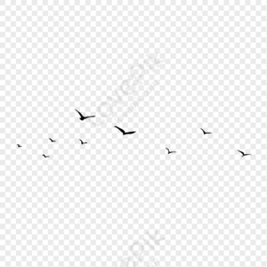 Bird Group PNG Image and PSD File For Free Download - Lovepik | 400982162