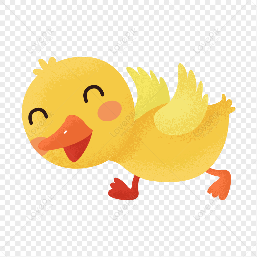 Duckling PNG Images With Transparent Background | Free Download On Lovepik