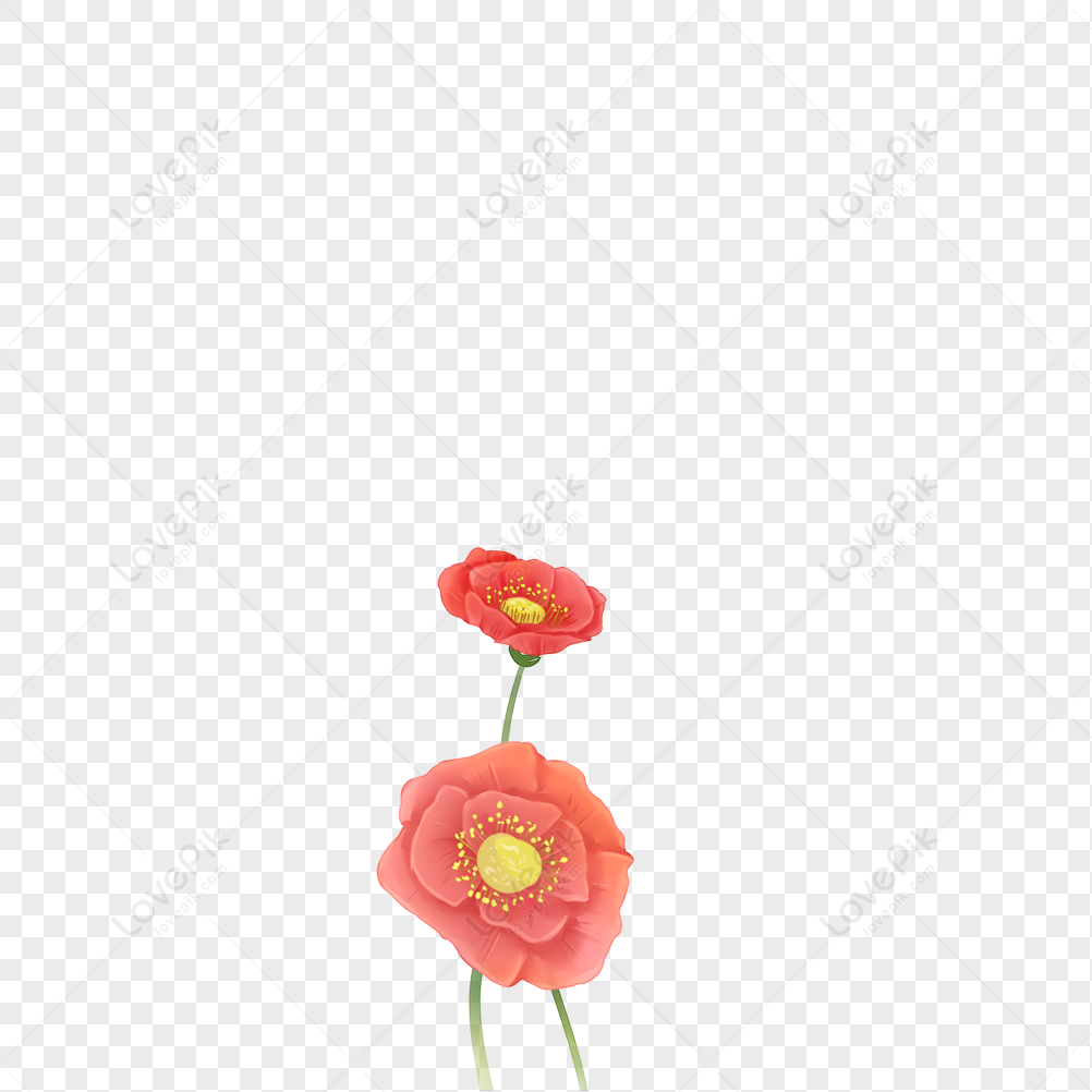 Flower, Flower Minimalist, Flower Flowers, Flower White PNG Free ...