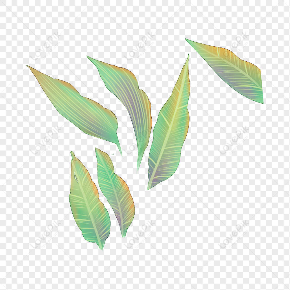 Green Leaf Background png download - 556*450 - Free Transparent