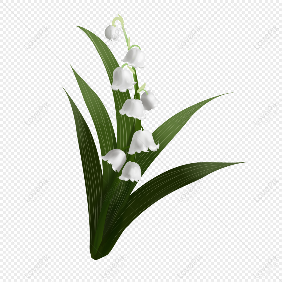 Tay Hoa Huệ là một loài hoa tinh tế và có mùi thơm dịu êm. Với những cánh hoa trắng tinh khôi và những đường viền mềm mại, tay hoa huệ là biểu tượng cho sự trong sáng và tinh khiết. Thưởng thức hình ảnh liên quan để cảm nhận được vẻ đẹp của loài hoa này.