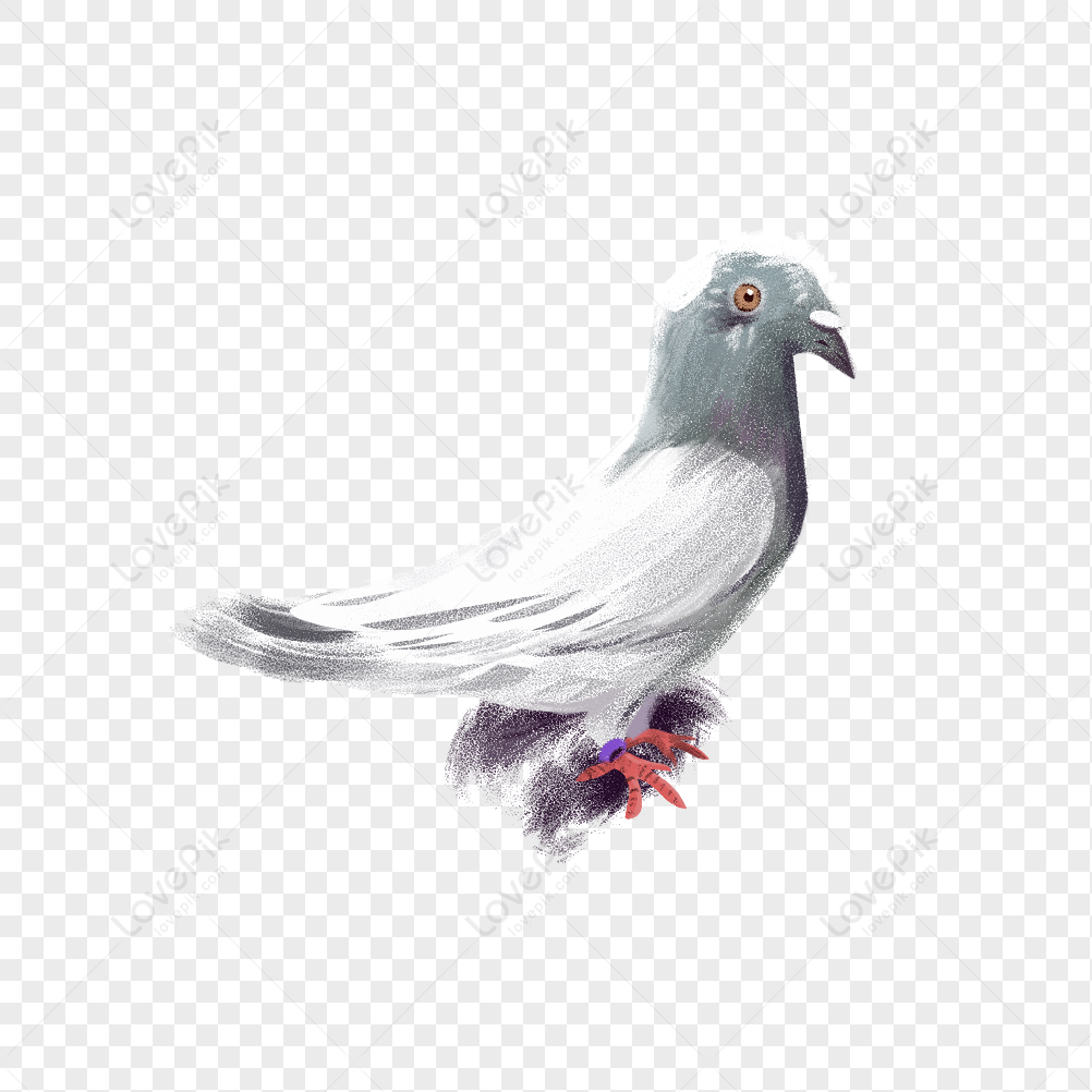 Hand Painted Dove PNG Transparent Background And Clipart Image For Free  Download - Lovepik | 400991090