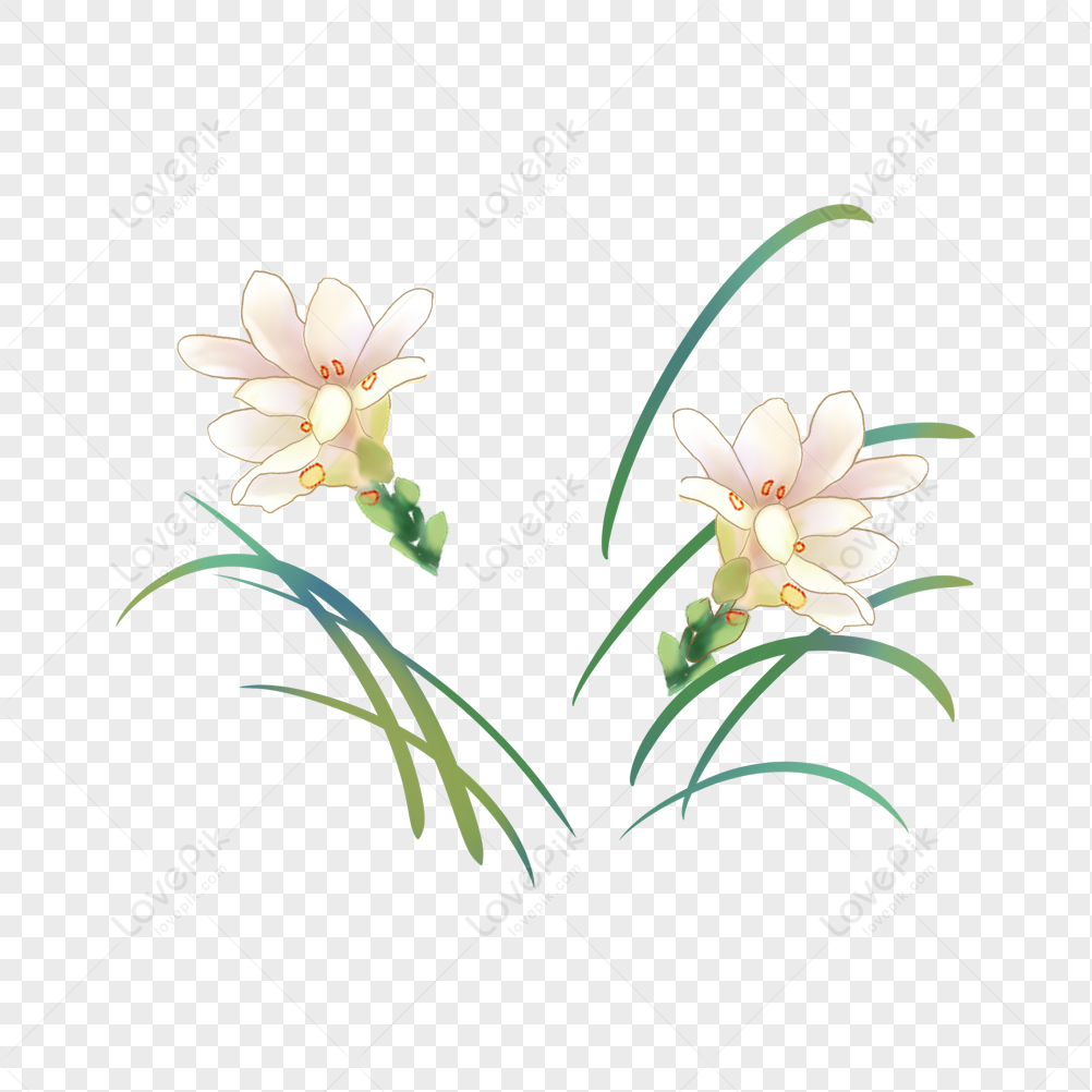 Transparent Hand Painted Flowers Elements Png PNG Free Download And ...