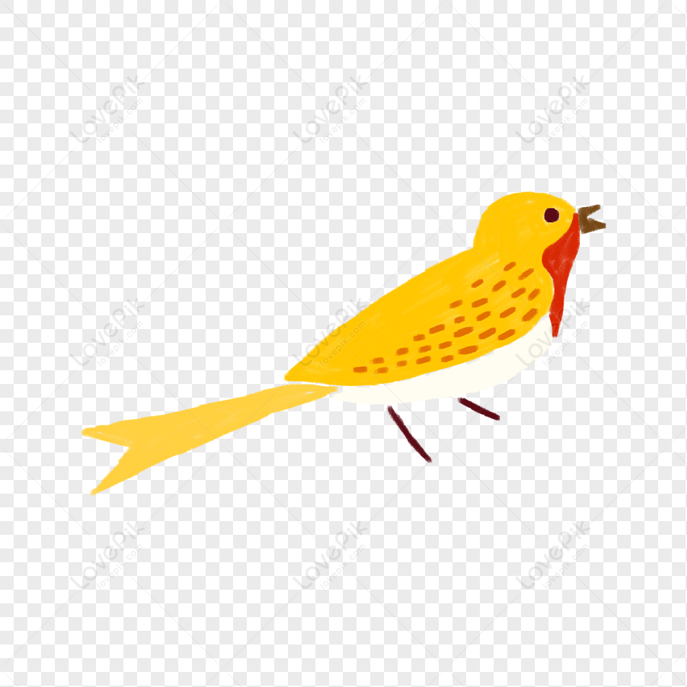 Yellow Birds Images, HD Pictures For Free Vectors Download 