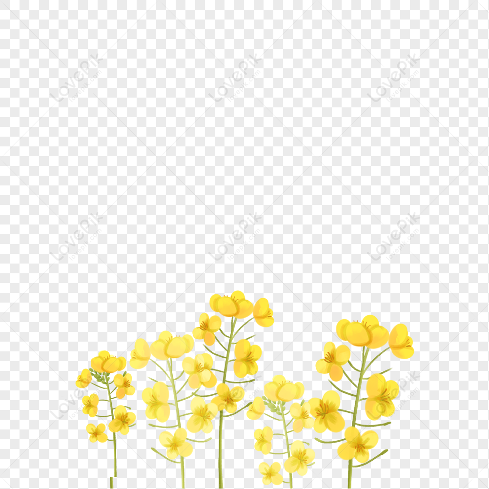 Yellow Flowers PNG White Transparent And Clipart Image For Free ...