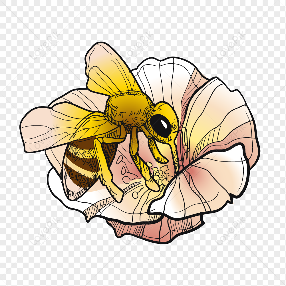Khi nhắc đến ong, chúng ta không thể bỏ qua sự quý giá của mật. Hãy cùng nhìn vào hình ảnh ong mật để thấy được sự công phu, khéo léo của chúng.