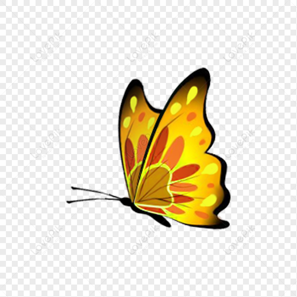 Butterfly PNG White Transparent And Clipart Image For Free Download -  Lovepik | 401020332