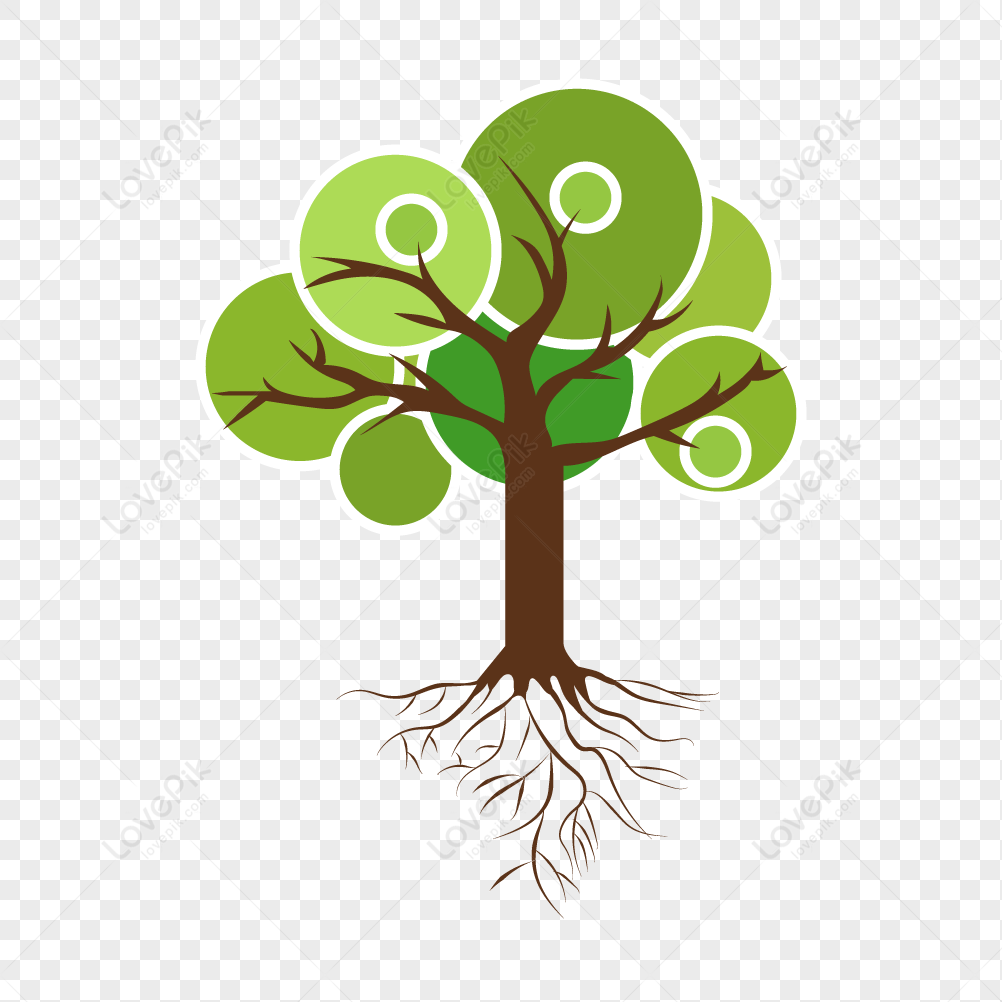 Cartoon Tree Vector PNG Transparent And Clipart Image For Free Download -  Lovepik | 401006876