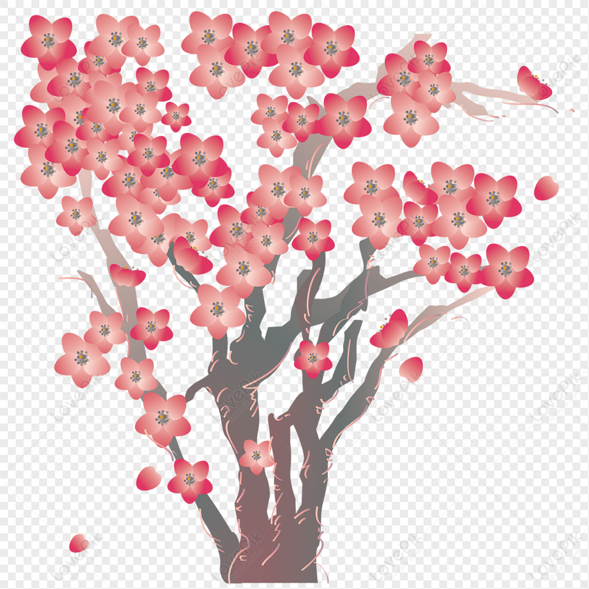Large weeping cherry tree watercolor illustration - Stock Illustration  [83324663] - PIXTA