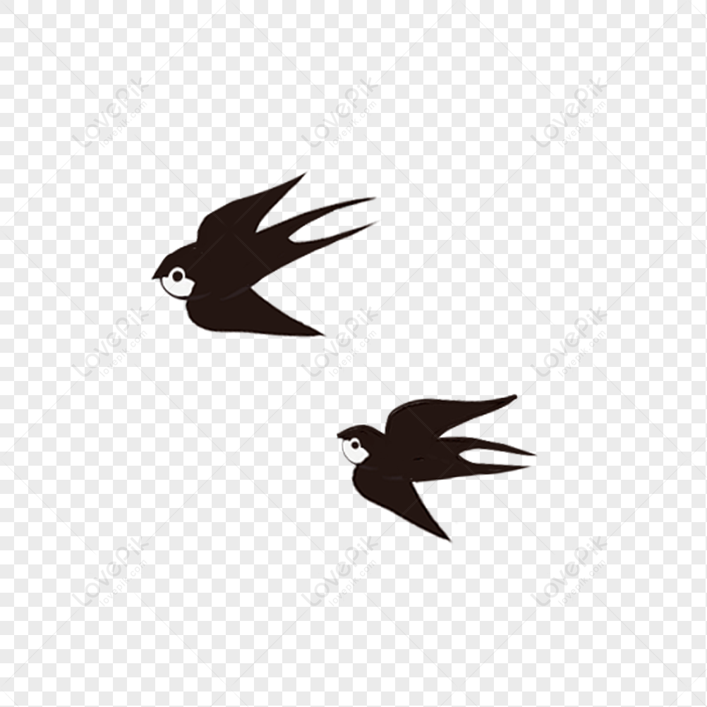 Flying Swallow Bird Flying Black Vector Flying Swallows Png