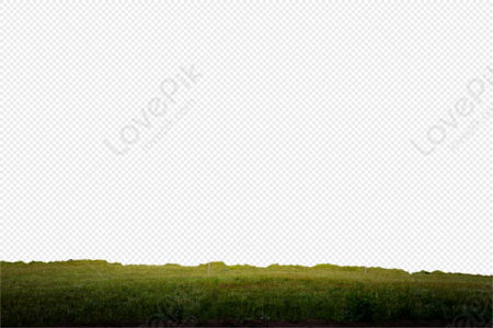 Grassland 1 PNG Image and PSD File For Free Download - Lovepik | 401445047