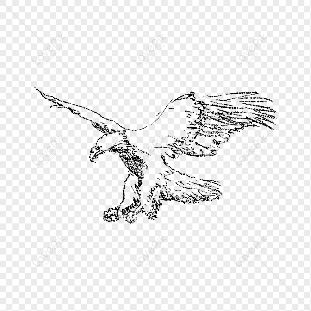 Golden Eagle (flying, ink) by VeronRishka on DeviantArt