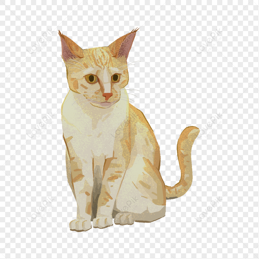 Hình ảnh Mèo Con PNG Miễn Phí Tải Về - Lovepik