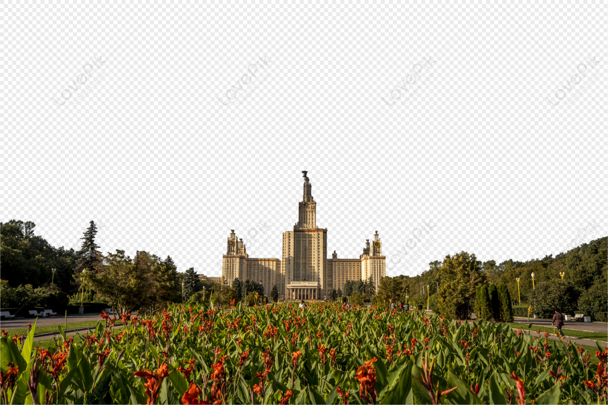 moscow university, flowers red, art deco, art flowers png picture