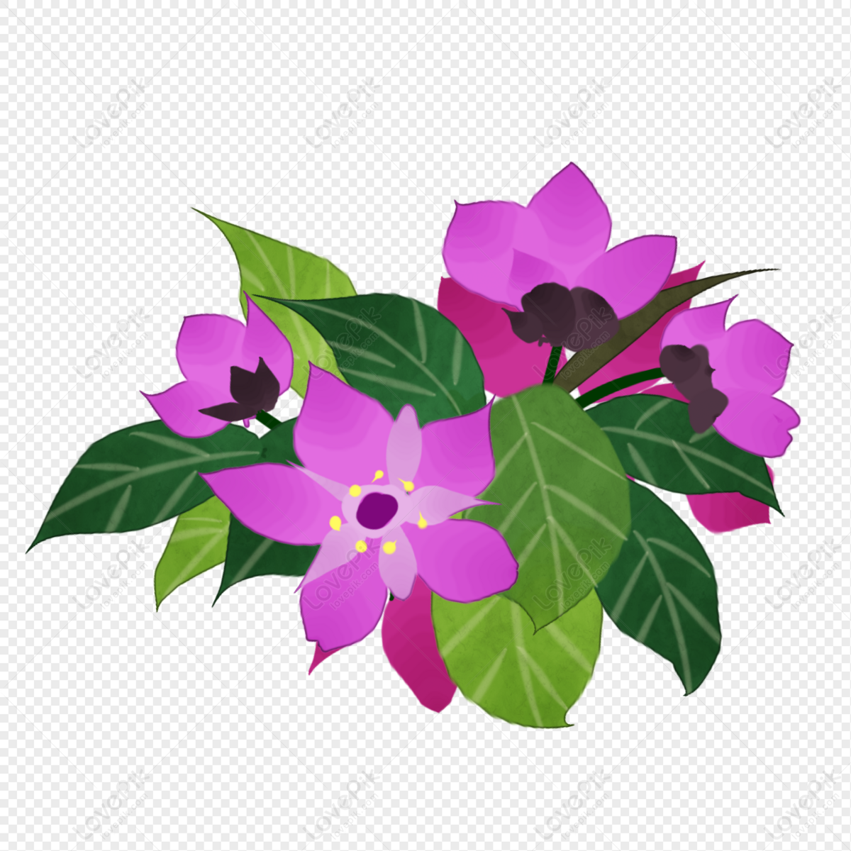 Un Racimo De Flores De Color Rosa De Primavera Crabapple PNG Imágenes  Gratis - Lovepik