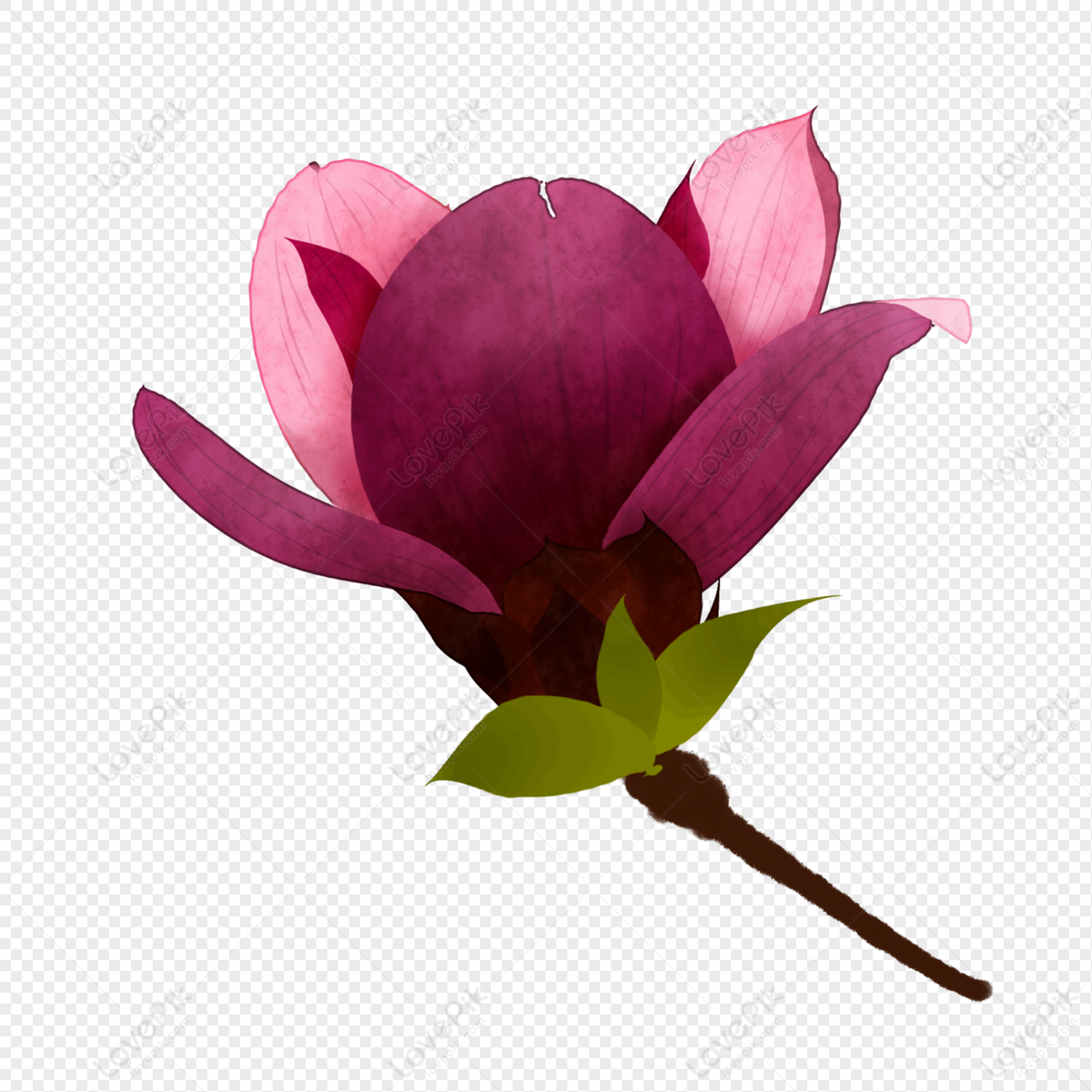 Una Delicada Flor De Magnolia Rosa Flor De Primavera PNG Imágenes Gratis -  Lovepik