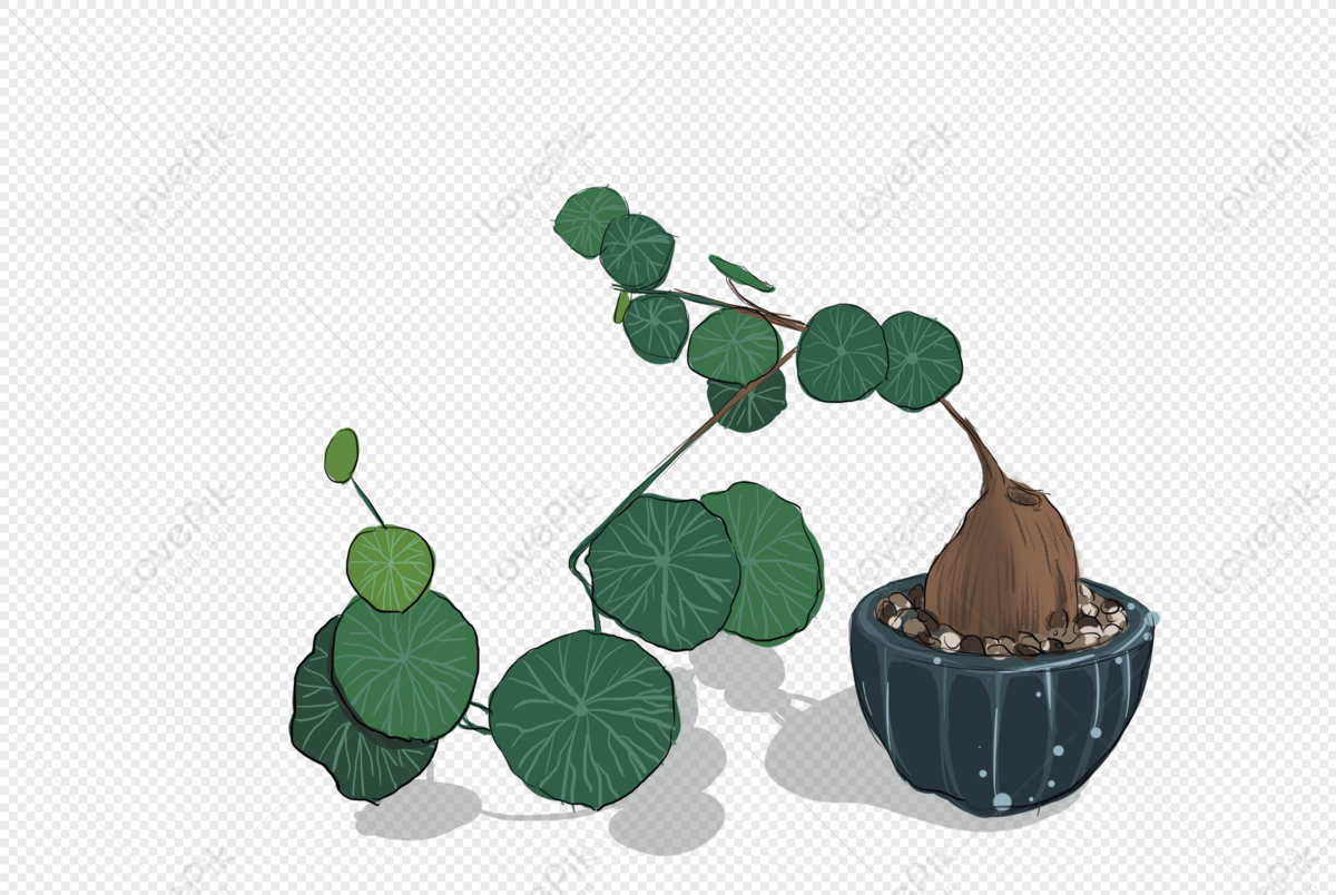 Aesthetic Plants Elements Png Png Image Free Download And Clipart Image