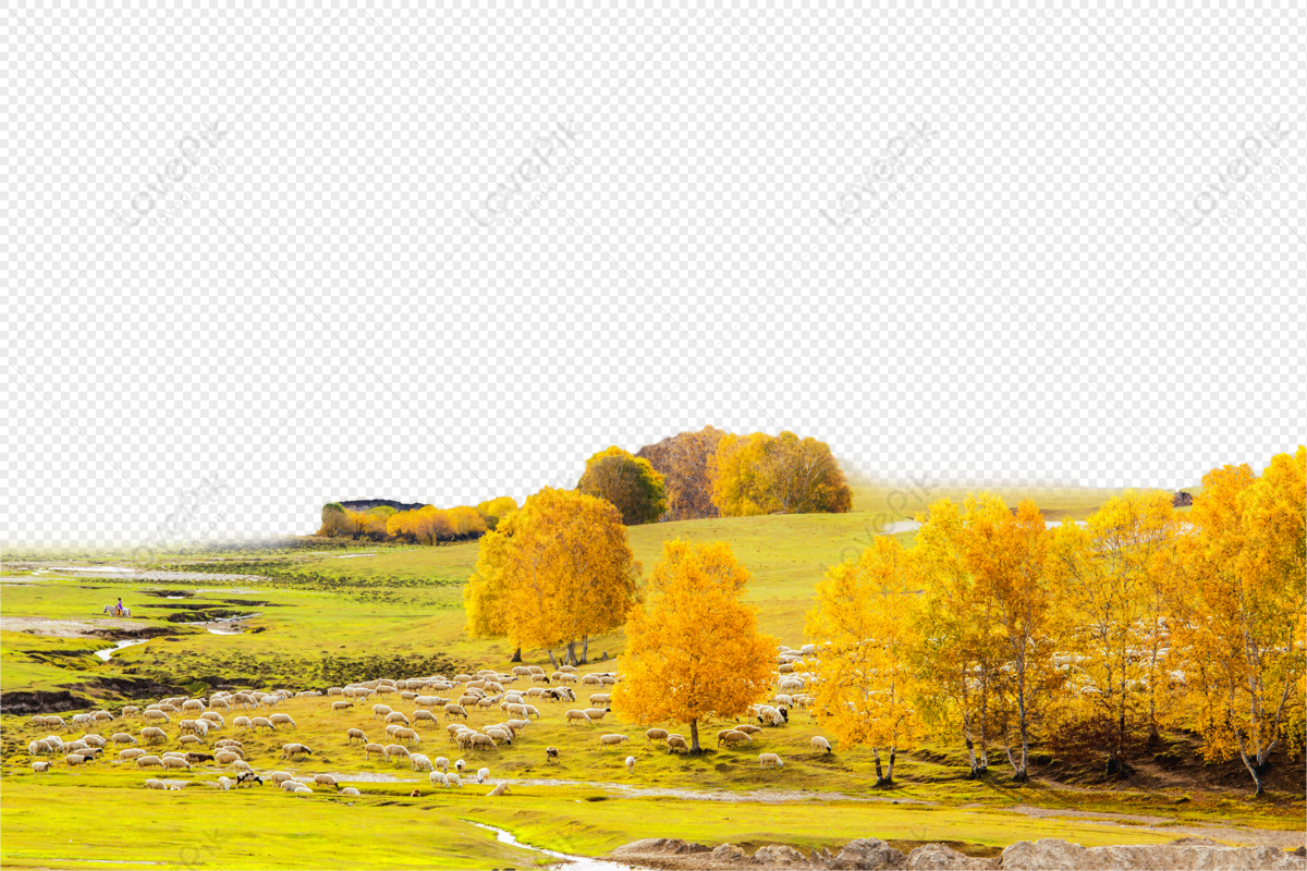 가을 풍경 이미지, 사진 및 Png 일러스트 무료 다운로드 - Lovepik