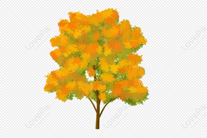가을의 나무 Png 일러스트 무료 다운로드 - Lovepik