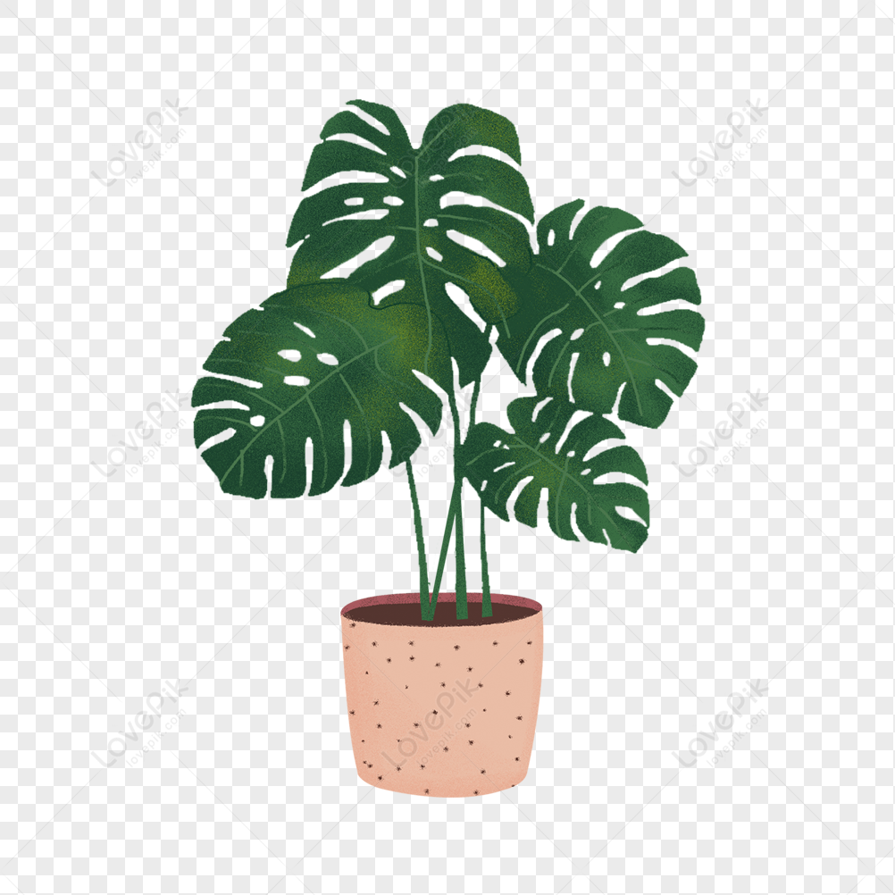 Cartoon Green Plant Element PNG Image Free Download And Clipart Image ...