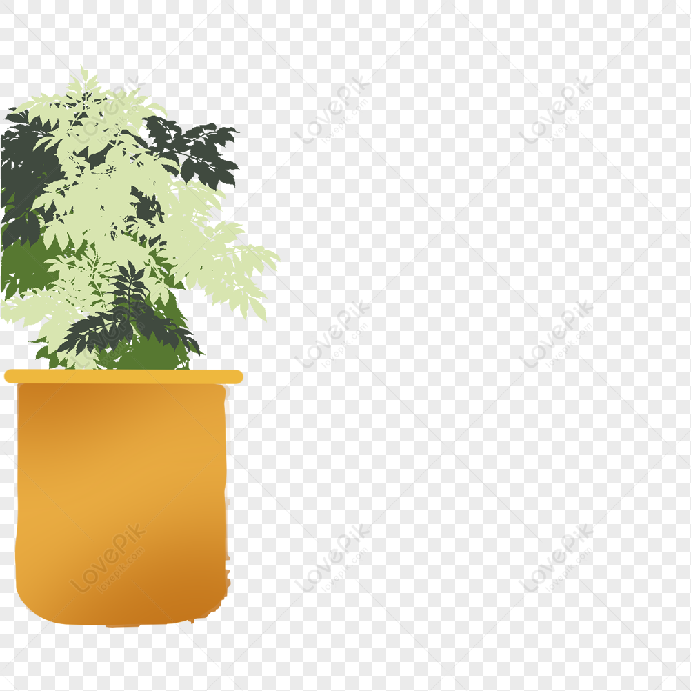 Cartoon Indoor Plants Leaves Plants Vector Plants Pot Pots Png Free