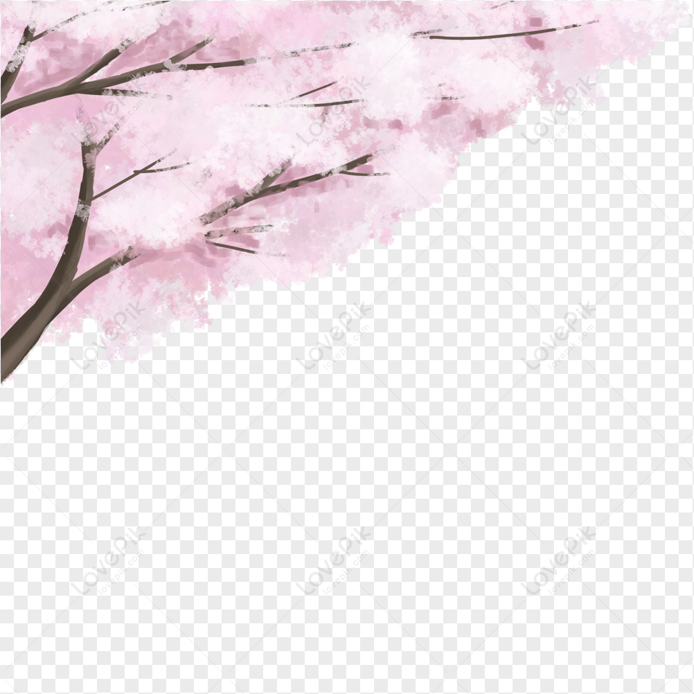 Cherry Blossom Branch, Blossom Pink, Blossom Tree, Cherry Vector PNG ...