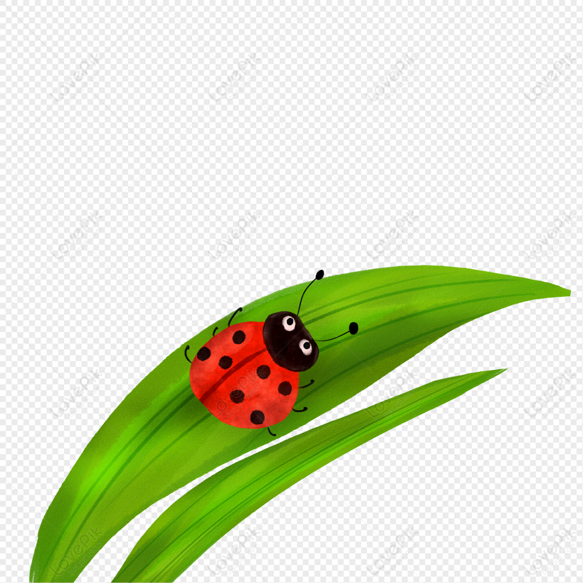 Joaninha Com Asas Vermelhas PNG , Vermelho, Ladybug, Ladybug Imagem PNG e  PSD Para Download Gratuito