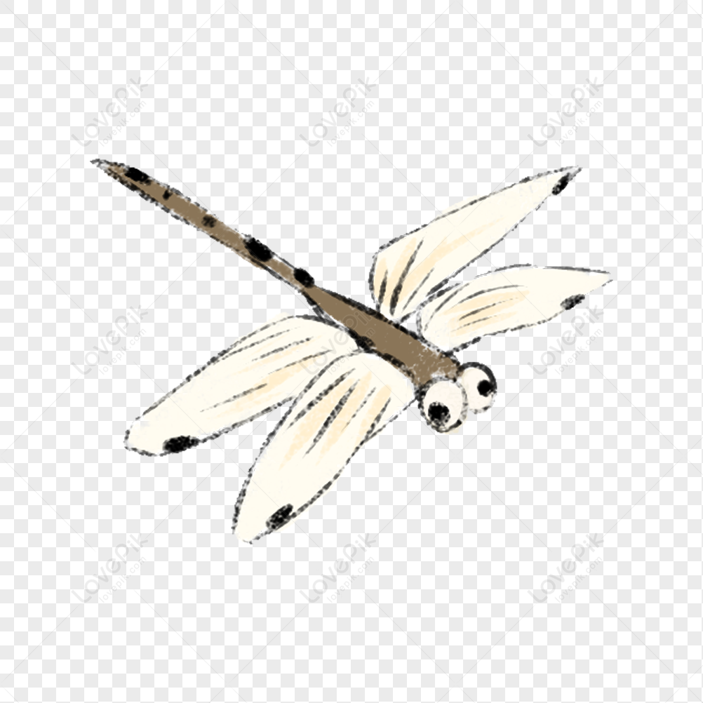 Dragonfly PNG Free Download And Clipart Image For Free Download ...