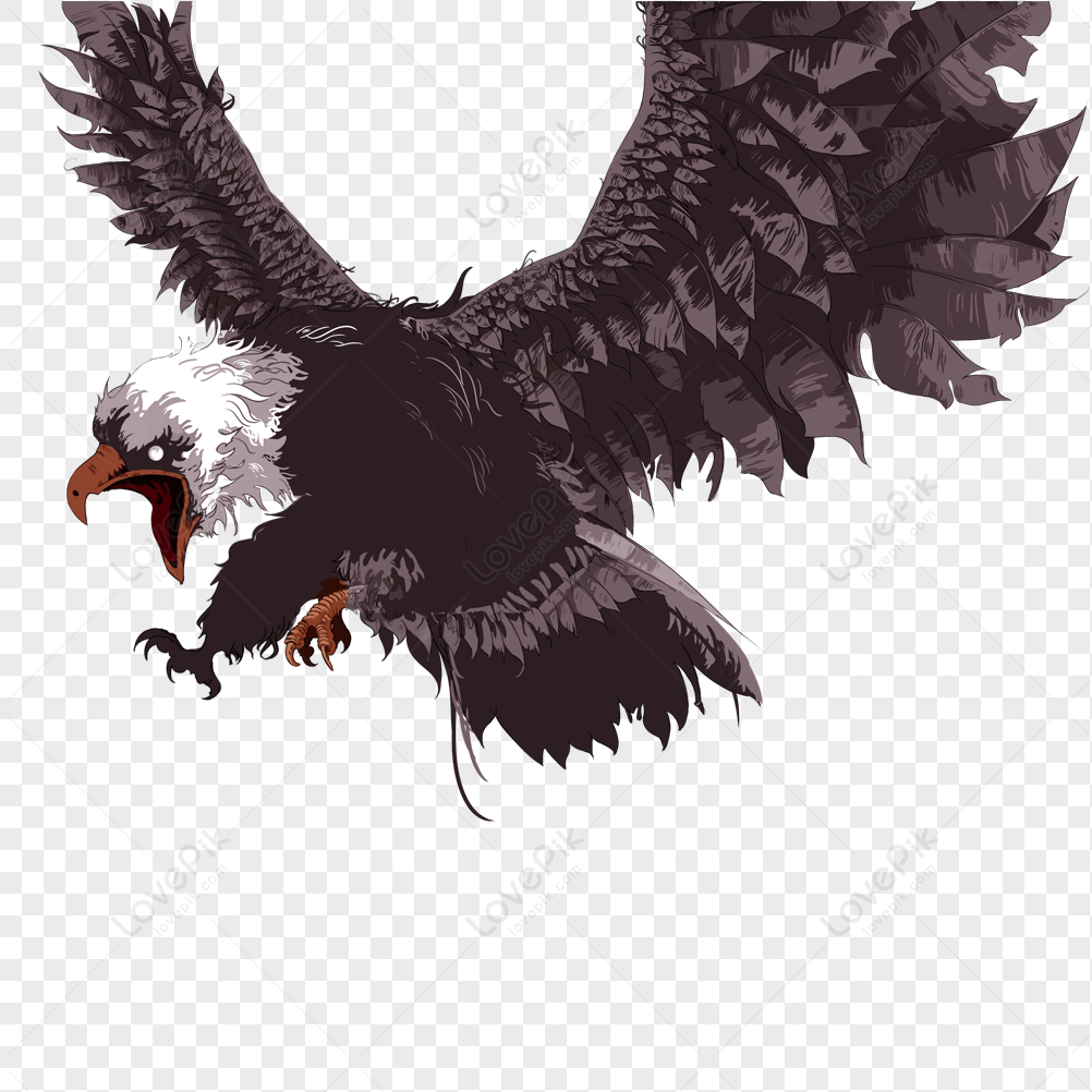 Eagle PNG Transparent Background And Clipart Image For Free Download -  Lovepik | 401039060