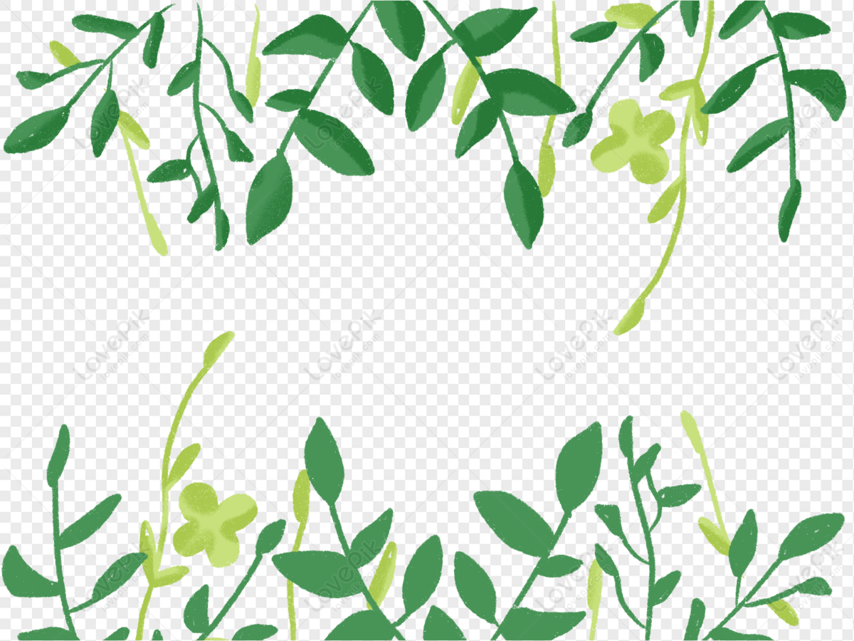 Flower, Frame Vector, Green Leaf, Leaf Vector PNG Transparent ...