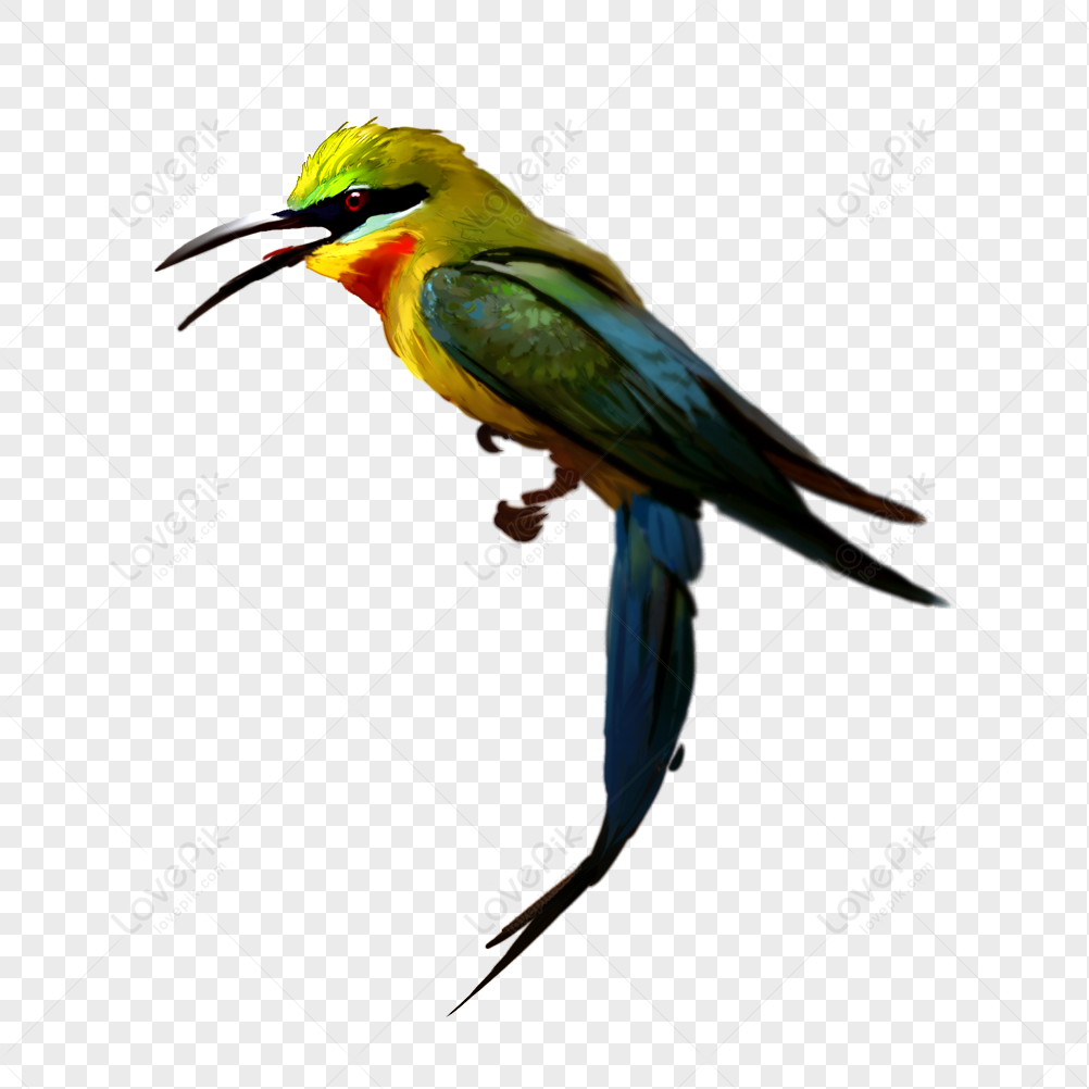 Little Bird, Dark Yellow, Bird Colorful, Hand-painted Birds PNG ...