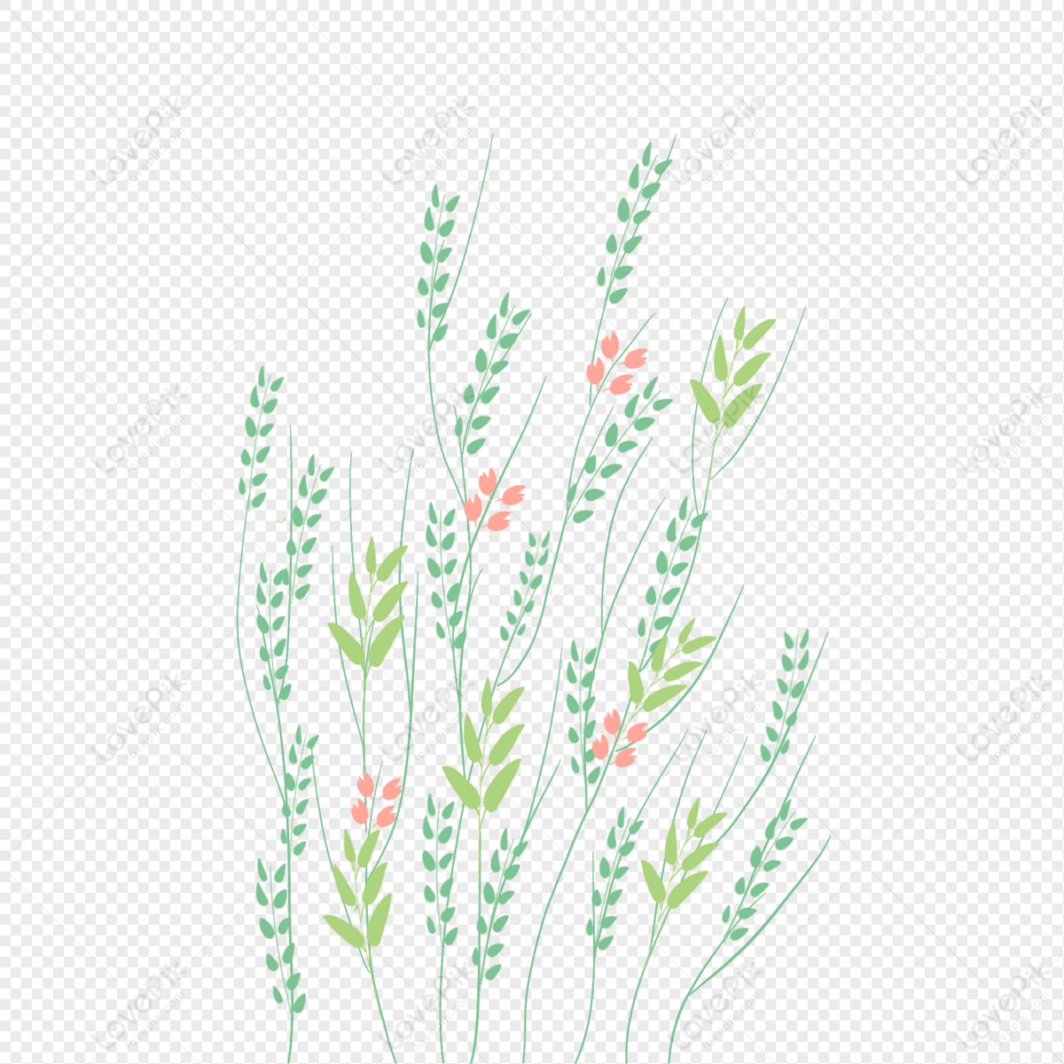 Matt Free Materials For Decorative Background Of Flowers And Pla PNG