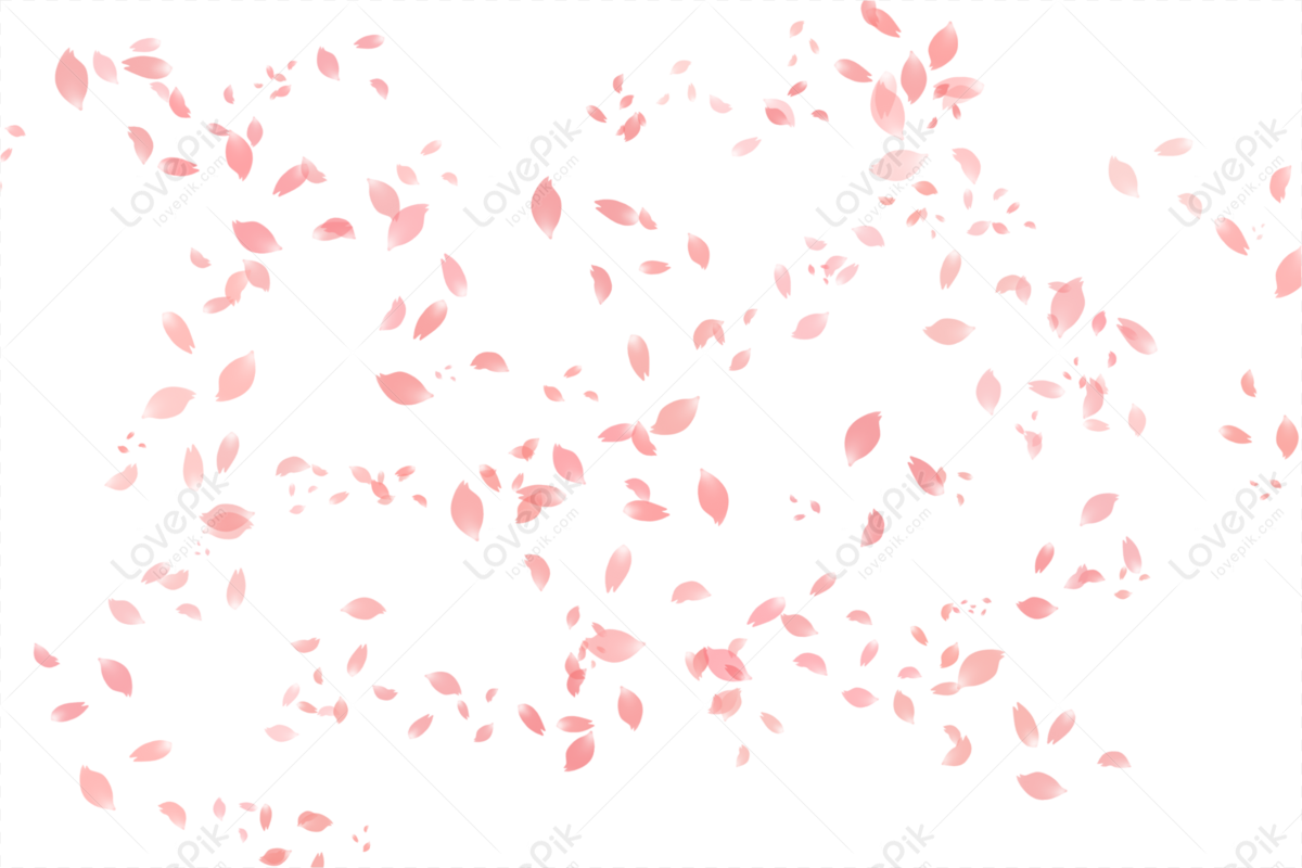 Close-up pink bow with rose and petals png download - 2844*3284