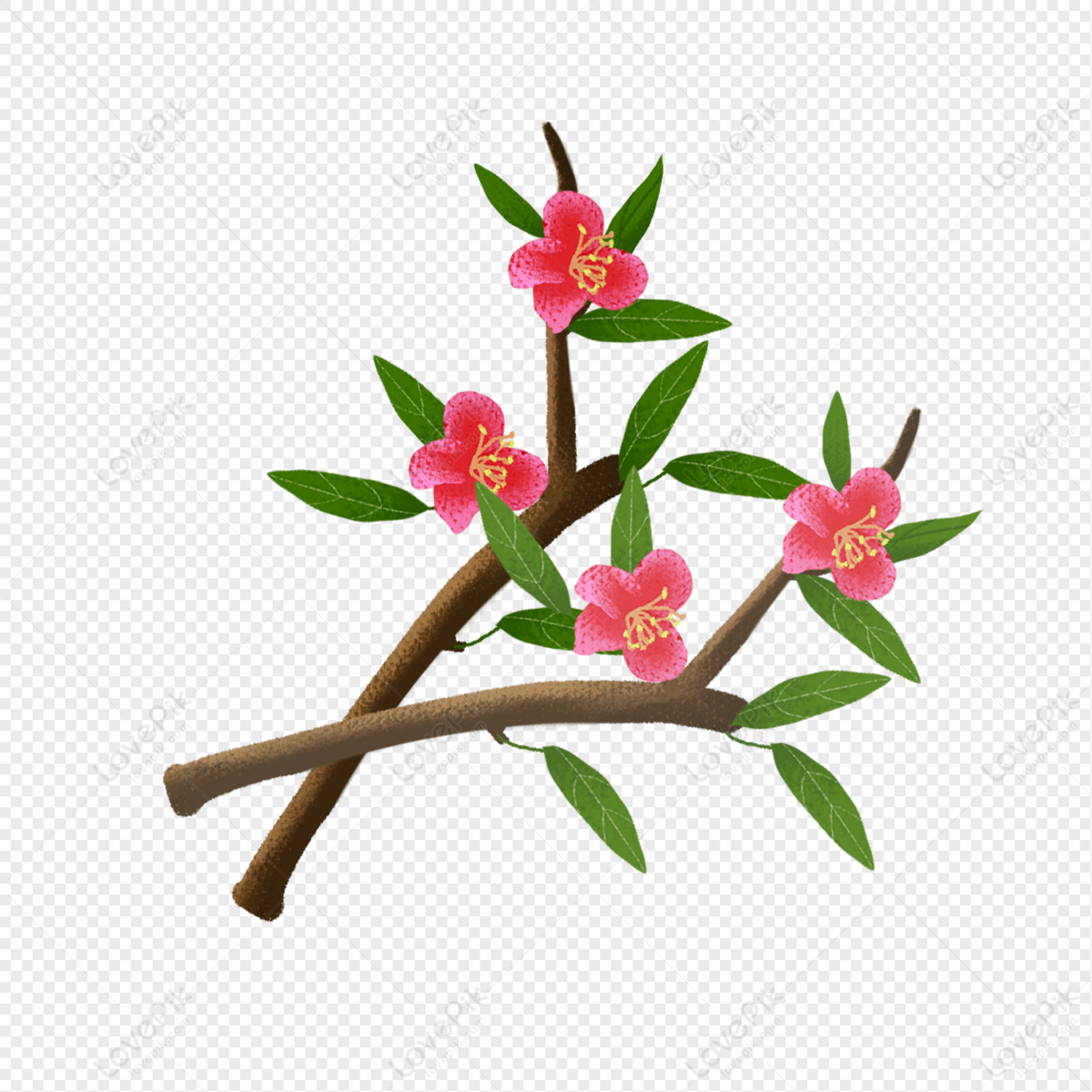 Flor De Begonia Roja PNG Imágenes Gratis - Lovepik