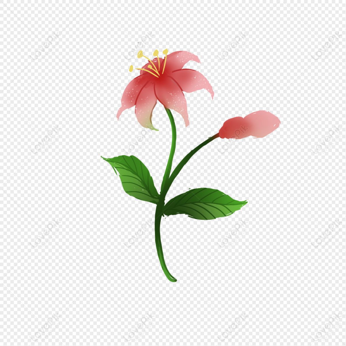 Flores Rojas PNG Imágenes Gratis - Lovepik