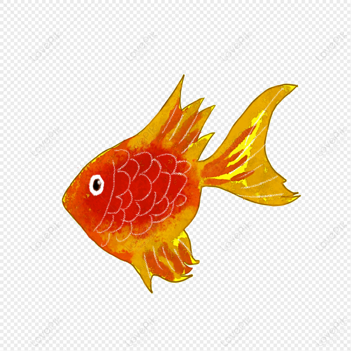 Betta Fish - Ứng dụng trên Google Play