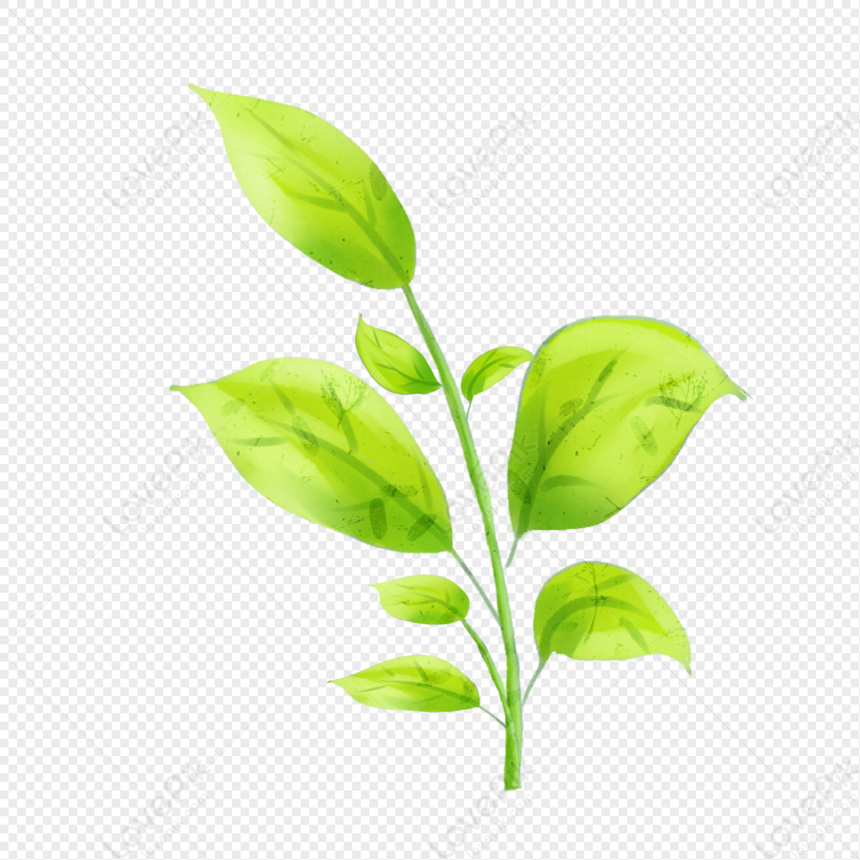 Beautiful Plants Elements Png PNG Hd Transparent Image And Clipart ...