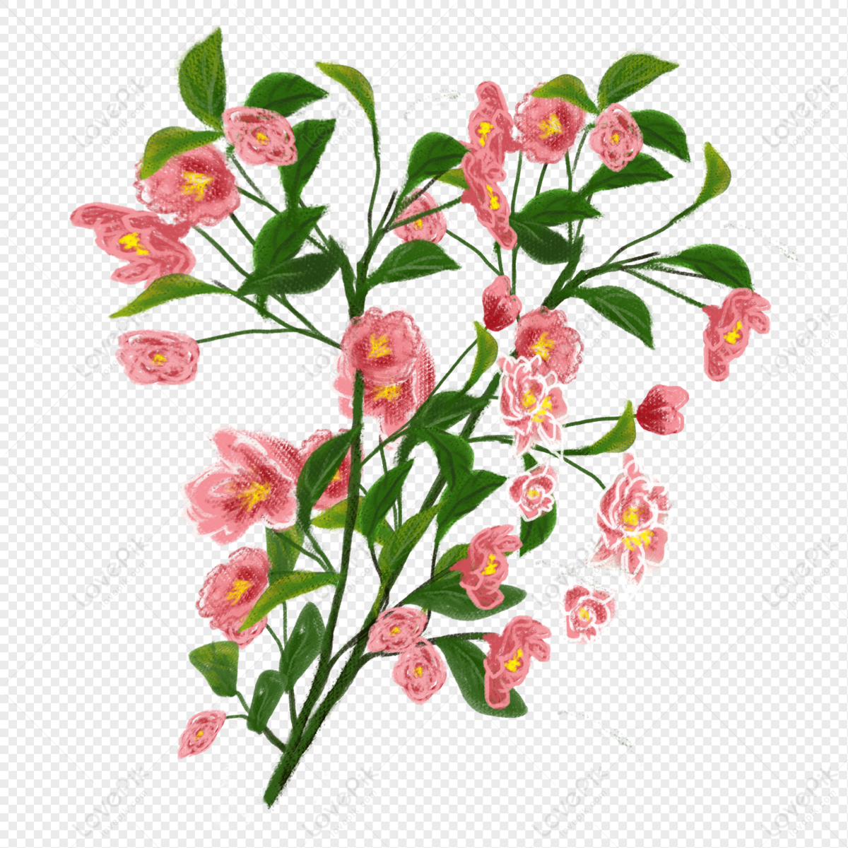 Flor De Begonia PNG Imágenes Gratis - Lovepik