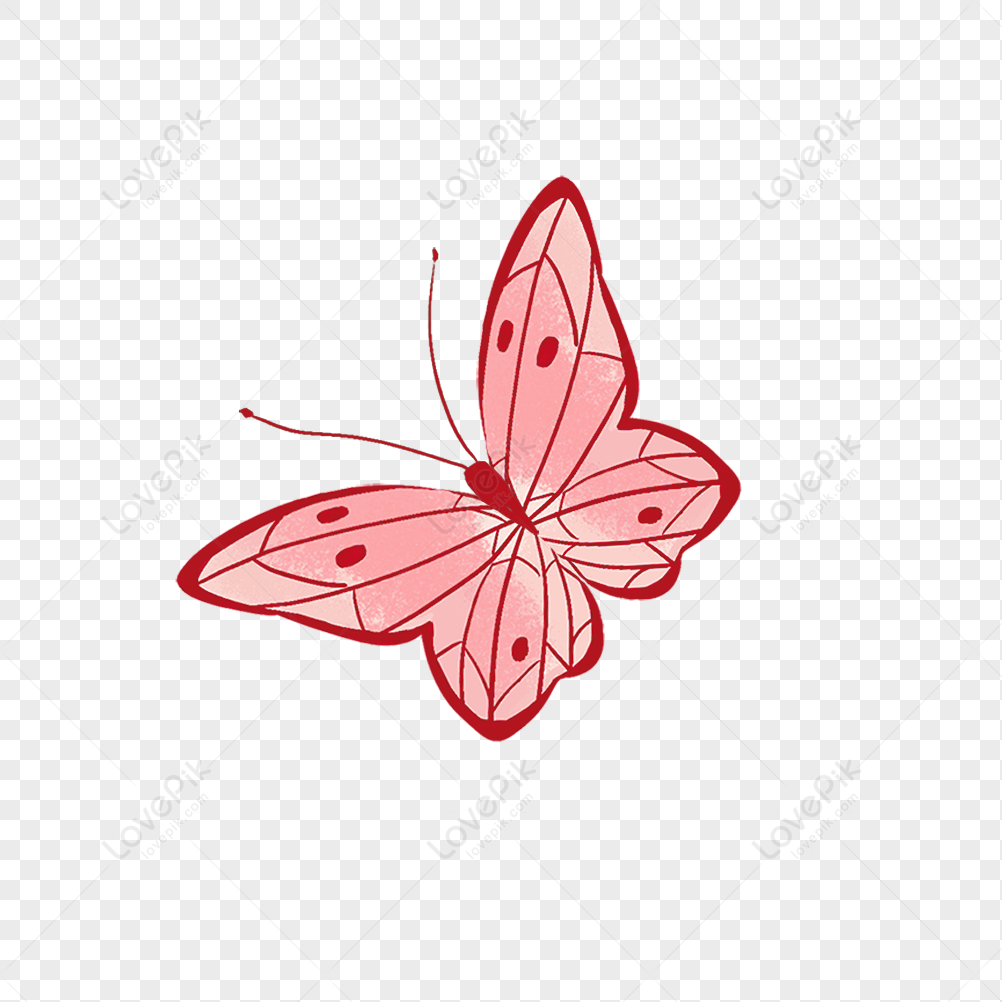 Mariposa Png Im Genes Gratis Lovepik