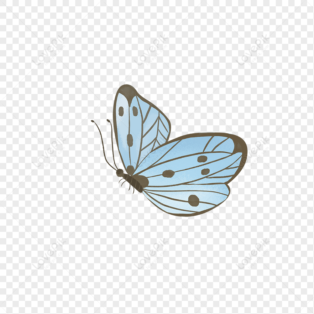 Butterfly Stickers PNG Images With Transparent Background | Free ...