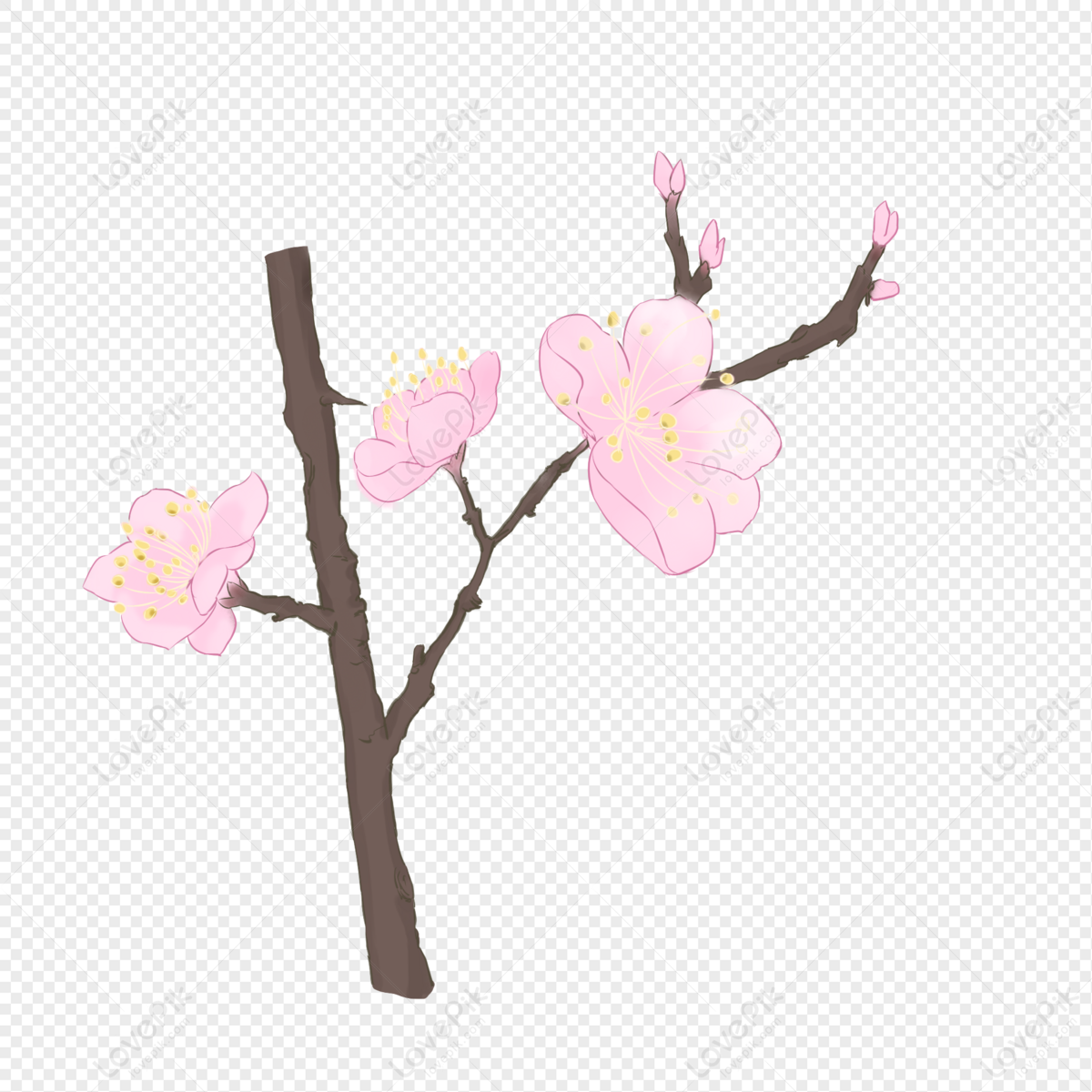 Cartoon Aesthetic Cherry Blossoms Background PNG Transparent Image And  Clipart Image For Free Download - Lovepik | 401067517