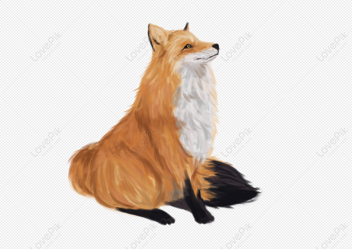 Cartoon Simple Cute Fox PNG Transparent Background And Clipart Image For  Free Download - Lovepik | 401065450