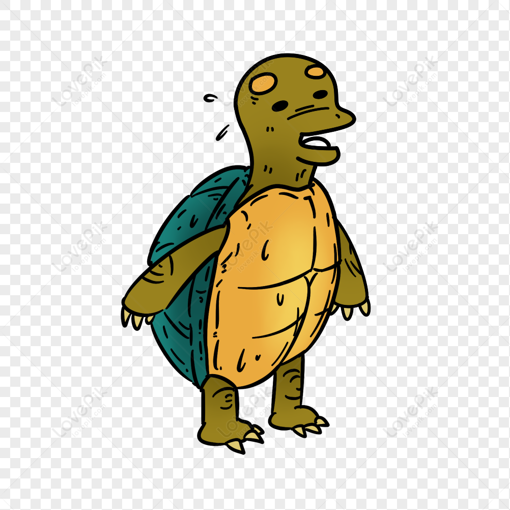 Cartoon Turtle PNG Image And Clipart Image For Free Download - Lovepik ...